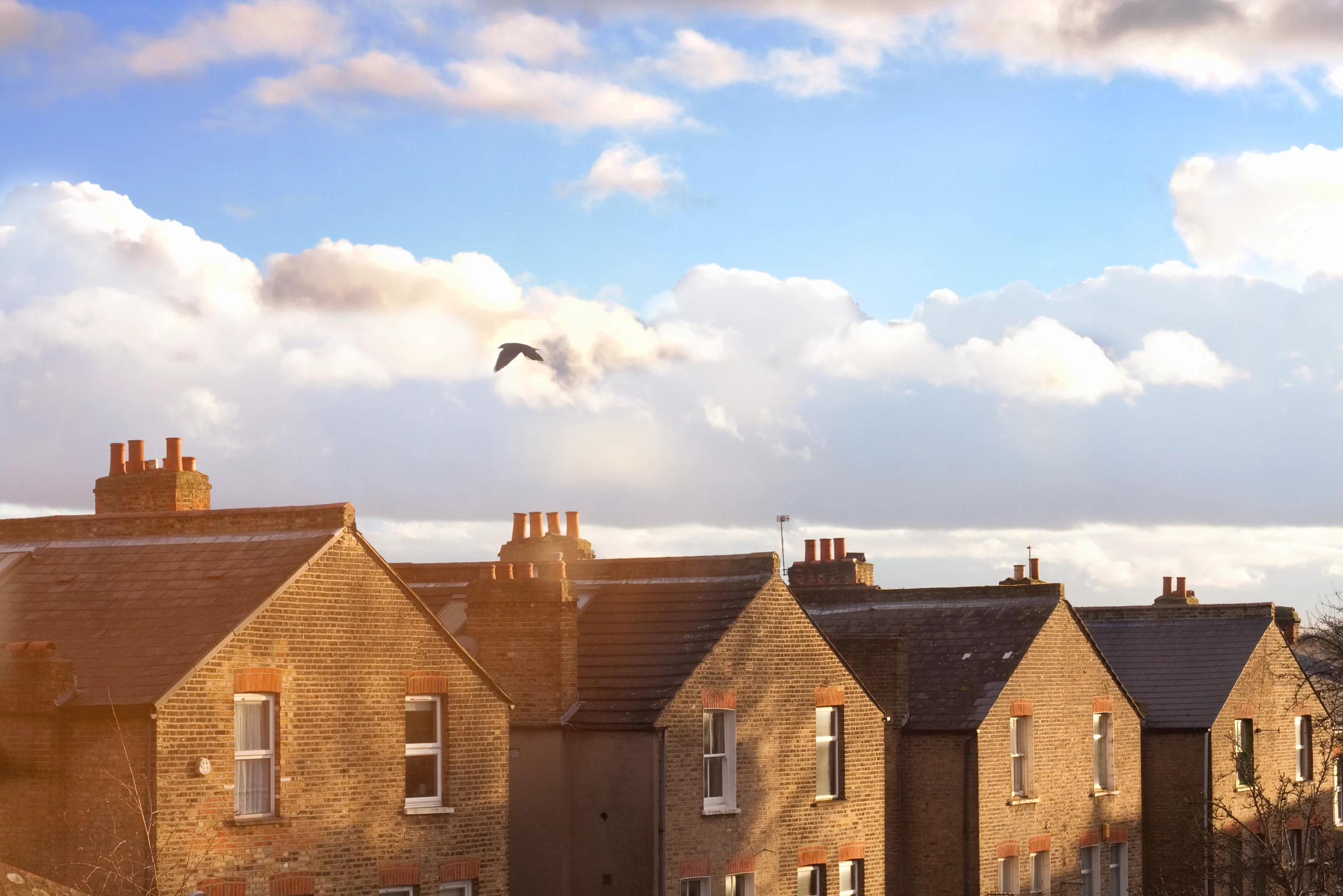 A row of terraced house rooftops beneath cloudy skies.