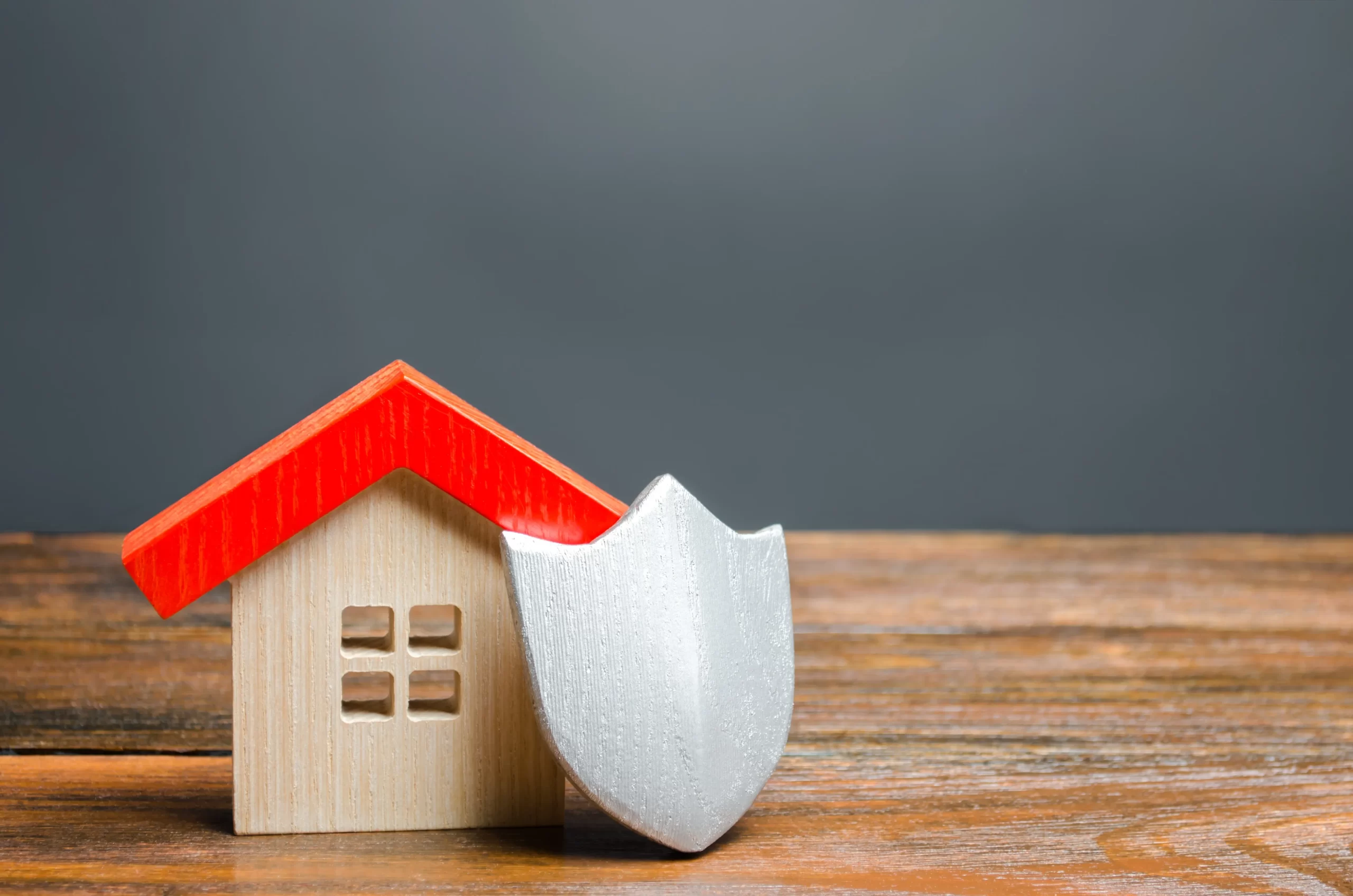 House figurine and protective shield.