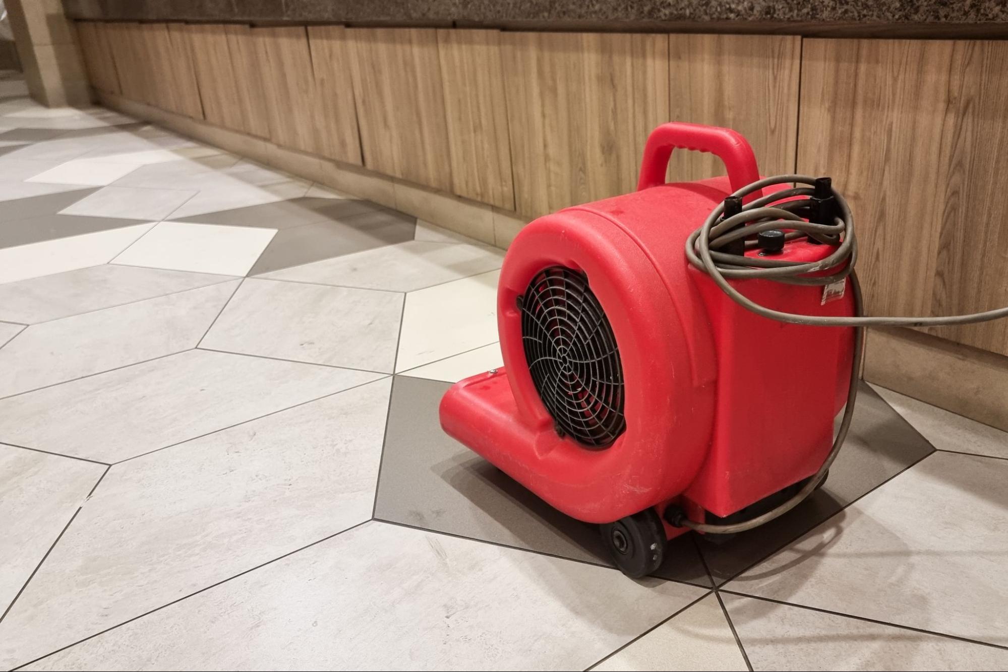 When to DIY and When to Call Professionals to Repair Water Damage