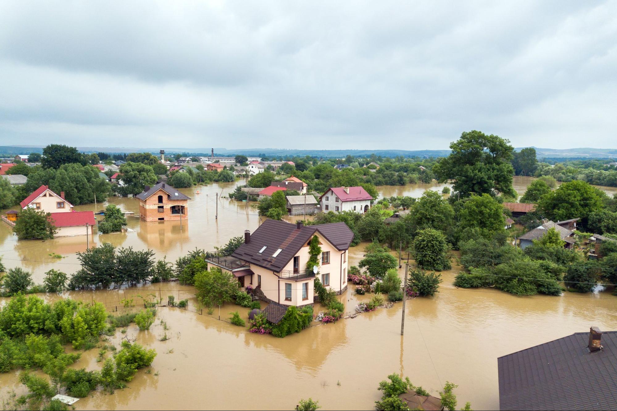 Emergency Water Cleanup: What to Do in the First 24 Hours