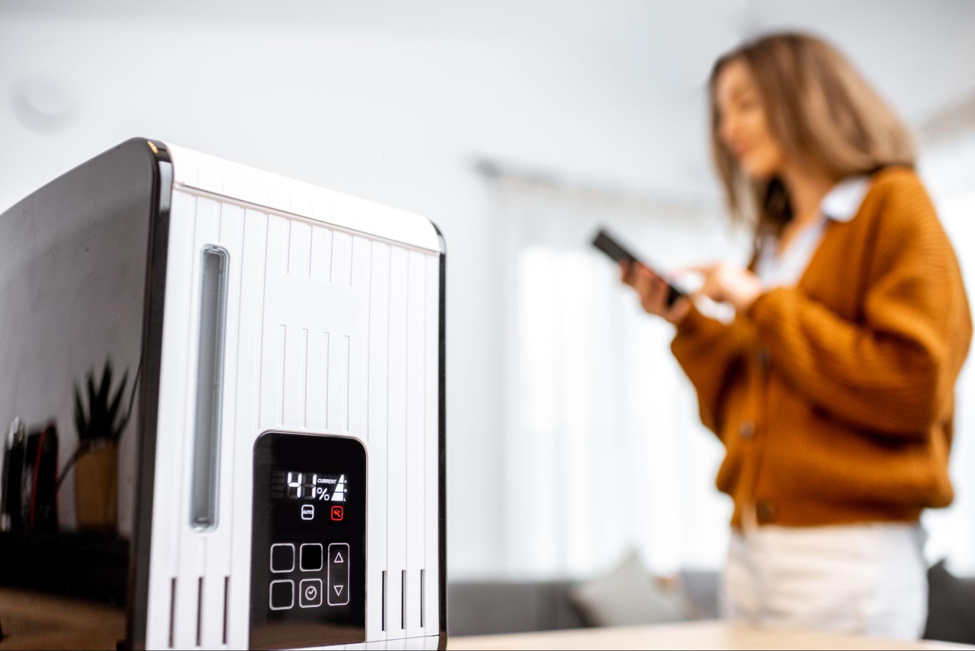 Room Dehumidification vs. Whole-House Systems: Which Is Better?