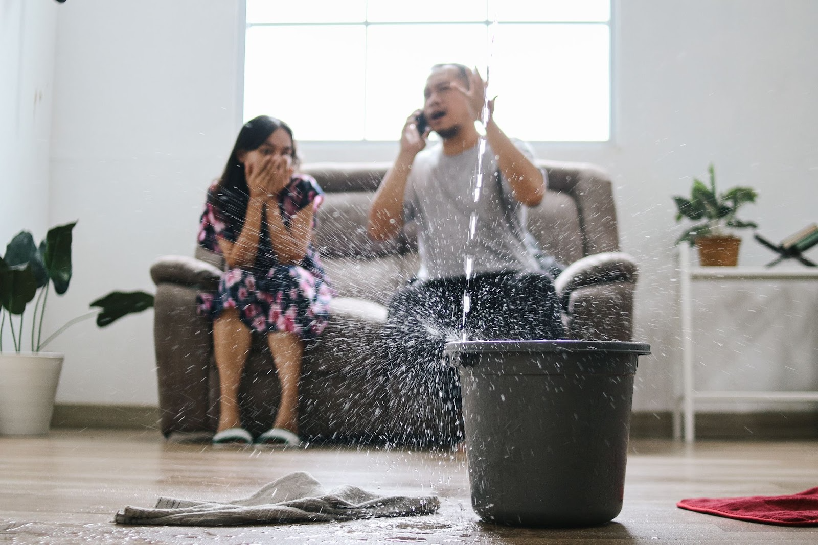 The Connection Between Water Extraction Services and Indoor Air Quality